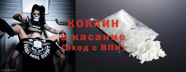 ECSTASY Алзамай