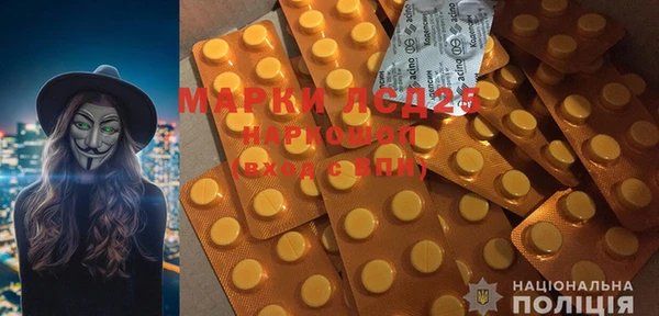 ECSTASY Алзамай